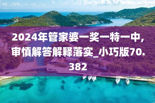 2024年管家婆一奖一特一中,审慎解答解释落实_小巧版70.382