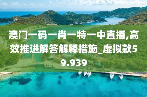 澳门一码一肖一特一中直播,高效推进解答解释措施_虚拟款59.939