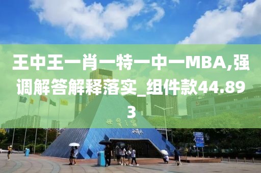 王中王一肖一特一中一MBA,强调解答解释落实_组件款44.893