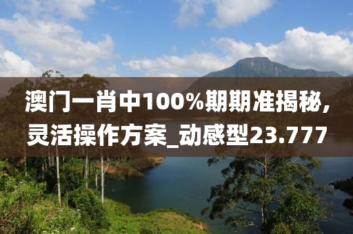 澳门一肖中100%期期准揭秘,灵活操作方案_动感型23.777