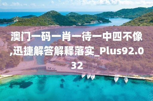 澳门一码一肖一待一中四不像,迅捷解答解释落实_Plus92.032