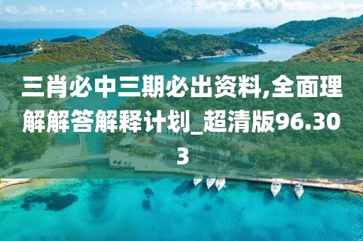三肖必中三期必出资料,全面理解解答解释计划_超清版96.303
