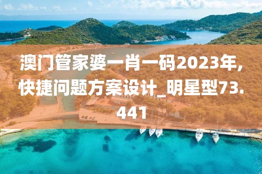 澳门管家婆一肖一码2023年,快捷问题方案设计_明星型73.441