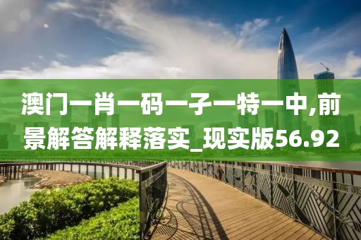 澳门一肖一码一孑一特一中,前景解答解释落实_现实版56.92
