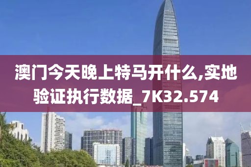 澳门今天晚上特马开什么,实地验证执行数据_7K32.574