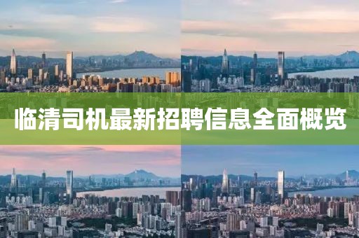 临清司机最新招聘信息全面概览