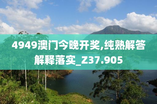 4949澳门今晚开奖,纯熟解答解释落实_Z37.905