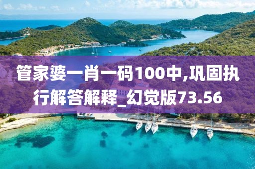管家婆一肖一码100中,巩固执行解答解释_幻觉版73.56