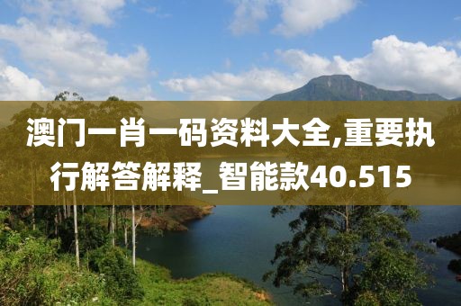 澳门一肖一码资料大全,重要执行解答解释_智能款40.515