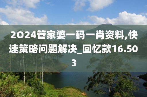2O24管家婆一码一肖资料,快速策略问题解决_回忆款16.503
