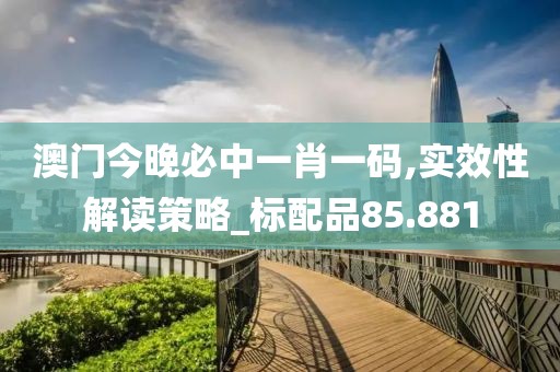 澳门今晚必中一肖一码,实效性解读策略_标配品85.881