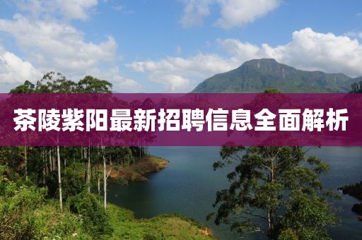 茶陵紫阳最新招聘信息全面解析