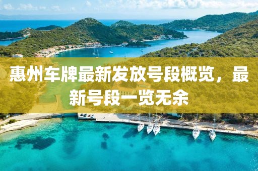 惠州车牌最新发放号段概览，最新号段一览无余