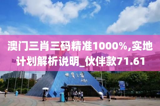 澳门三肖三码精准1000%,实地计划解析说明_伙伴款71.61