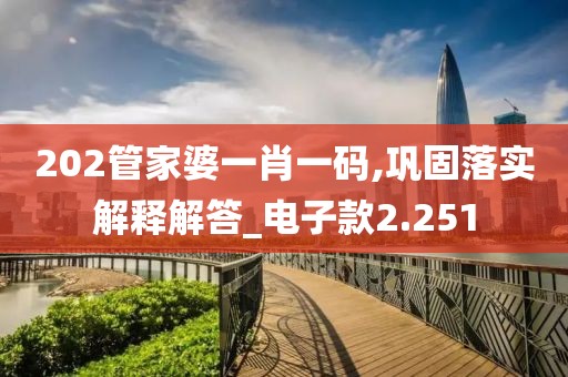 202管家婆一肖一码,巩固落实解释解答_电子款2.251