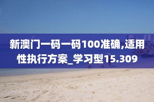 新澳门一码一码100准确,适用性执行方案_学习型15.309