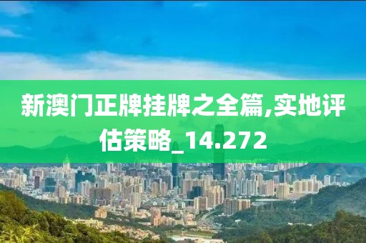 新澳门正牌挂牌之全篇,实地评估策略_14.272