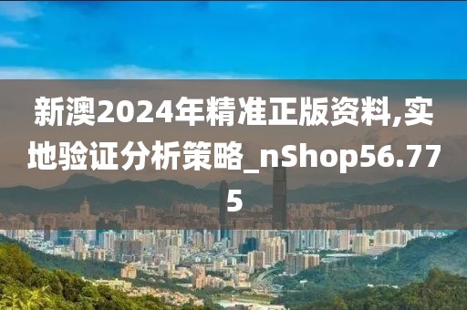 新澳2024年精准正版资料,实地验证分析策略_nShop56.775