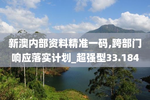 新澳内部资料精准一码,跨部门响应落实计划_超强型33.184