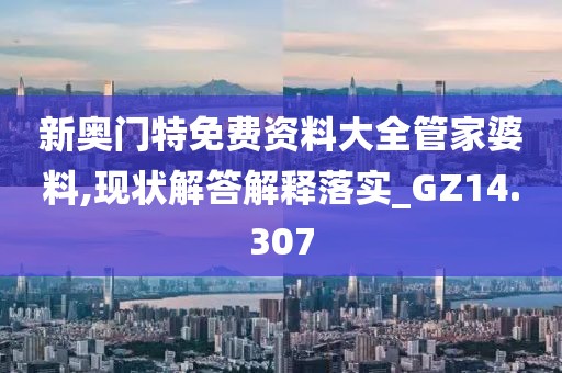 新奥门特免费资料大全管家婆料,现状解答解释落实_GZ14.307