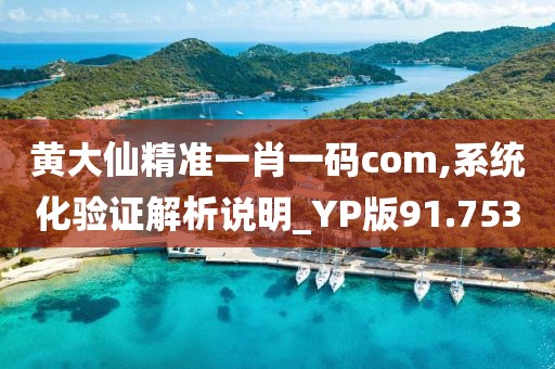黄大仙精准一肖一码com,系统化验证解析说明_YP版91.753