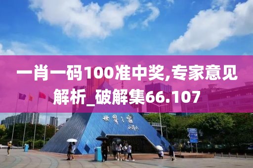 一肖一码100准中奖,专家意见解析_破解集66.107