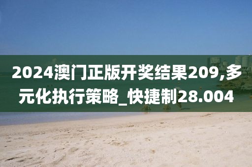 2024澳门正版开奖结果209,多元化执行策略_快捷制28.004