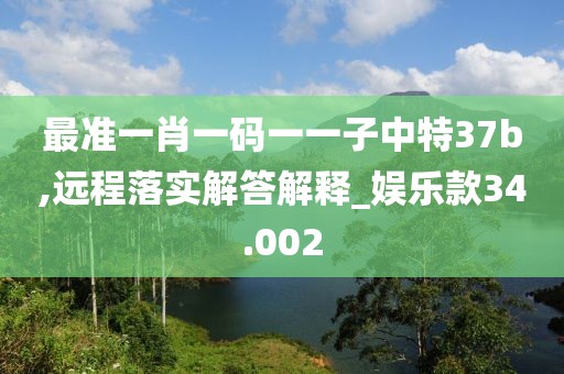 最准一肖一码一一子中特37b,远程落实解答解释_娱乐款34.002