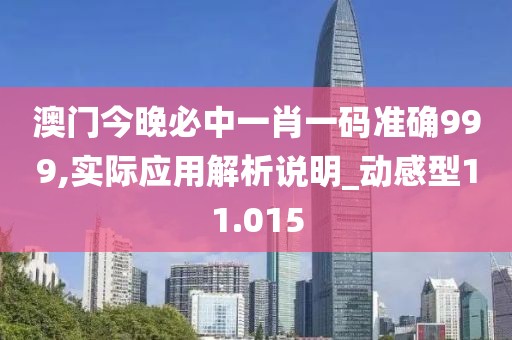 澳门今晚必中一肖一码准确999,实际应用解析说明_动感型11.015
