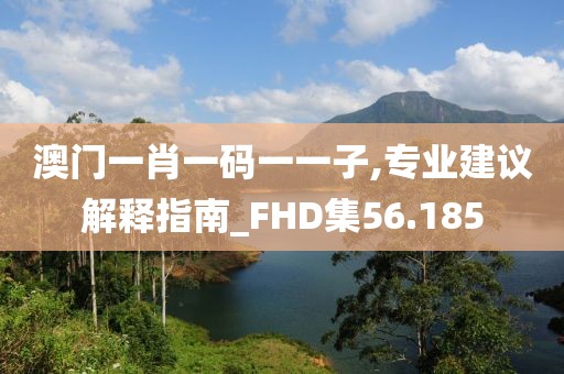 澳门一肖一码一一子,专业建议解释指南_FHD集56.185