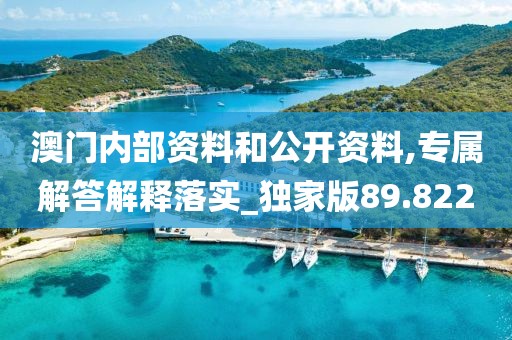 澳门内部资料和公开资料,专属解答解释落实_独家版89.822