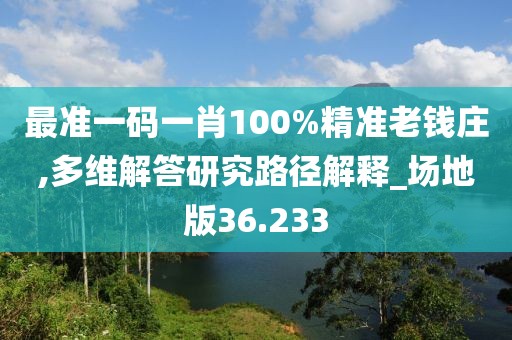 最准一码一肖100%精准老钱庄,多维解答研究路径解释_场地版36.233