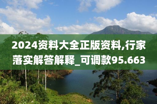 2024资料大全正版资料,行家落实解答解释_可调款95.663