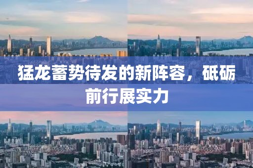 猛龙蓄势待发的新阵容，砥砺前行展实力
