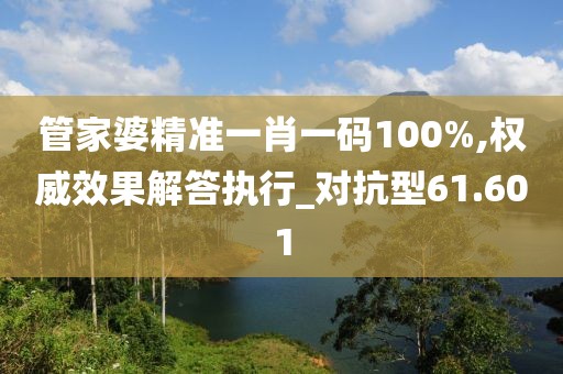 管家婆精准一肖一码100%,权威效果解答执行_对抗型61.601