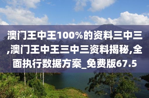 澳门王中王100%的资料三中三,澳门王中王三中三资料揭秘,全面执行数据方案_免费版67.5