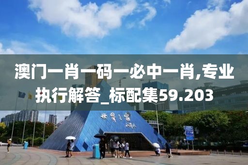 澳门一肖一码一必中一肖,专业执行解答_标配集59.203