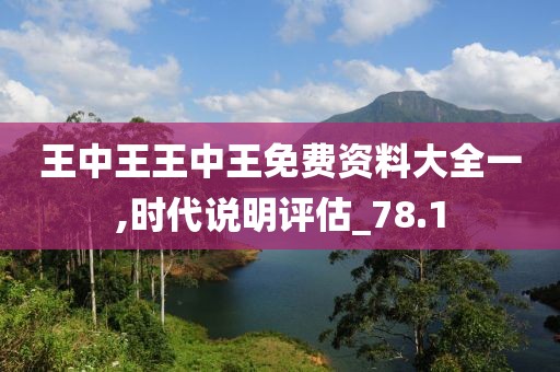 王中王王中王免费资料大全一,时代说明评估_78.1