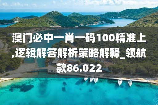 澳门必中一肖一码100精准上,逻辑解答解析策略解释_领航款86.022
