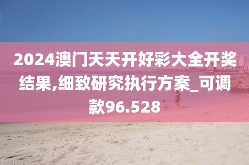 2024澳门天天开好彩大全开奖结果,细致研究执行方案_可调款96.528