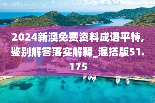 2024新澳免费资料成语平特,鉴别解答落实解释_混搭版51.175