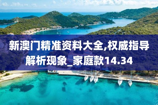 新澳门精准资料大全,权威指导解析现象_家庭款14.34