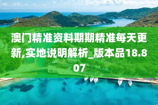 澳门精准资料期期精准每天更新,实地说明解析_版本品18.807