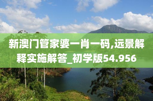 新澳门管家婆一肖一码,远景解释实施解答_初学版54.956