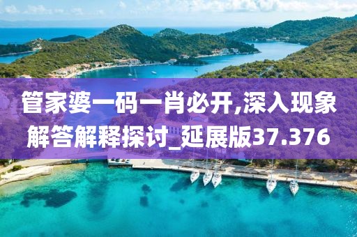 管家婆一码一肖必开,深入现象解答解释探讨_延展版37.376