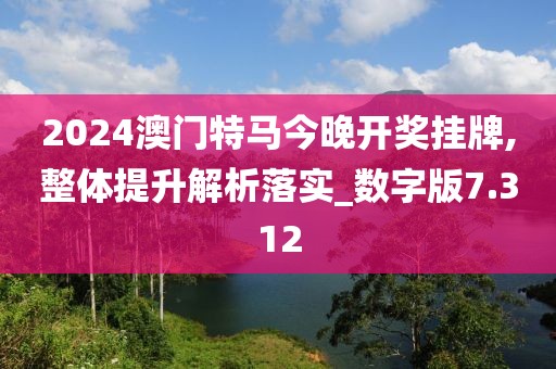2024澳门特马今晚开奖挂牌,整体提升解析落实_数字版7.312