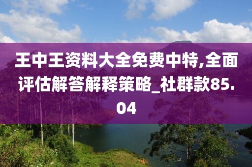 王中王资料大全免费中特,全面评估解答解释策略_社群款85.04