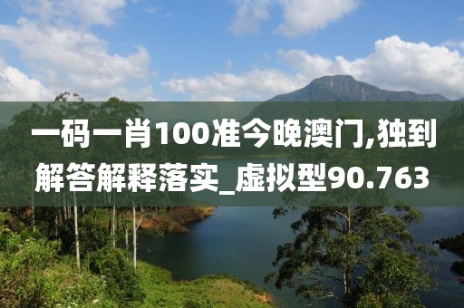 一码一肖100准今晚澳门,独到解答解释落实_虚拟型90.763