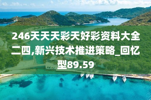 246天天天彩天好彩资料大全二四,新兴技术推进策略_回忆型89.59
