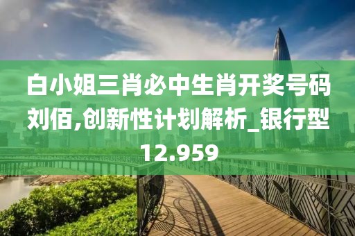 白小姐三肖必中生肖开奖号码刘佰,创新性计划解析_银行型12.959